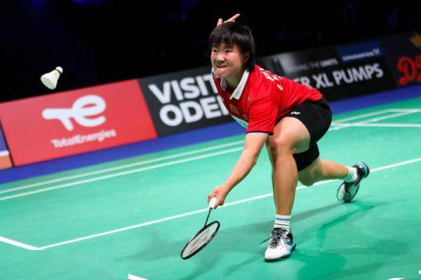 适的替代者 适的替代者